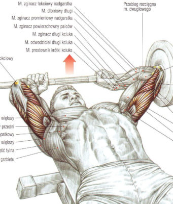 wyciskanie francuskie sztangą leżąc