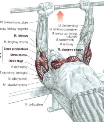 wyciskanie sztangi trzymanej w wąskim uchwycie w pozycji leżącej
