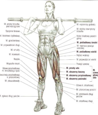 przysiady ze sztangą opartą na klatce piersiowej