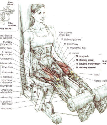 prostowanie nóg na maszynie siedząc