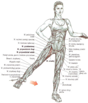 ćwiczenie na mięśnie przywodziciele na wyciągu dolnym
