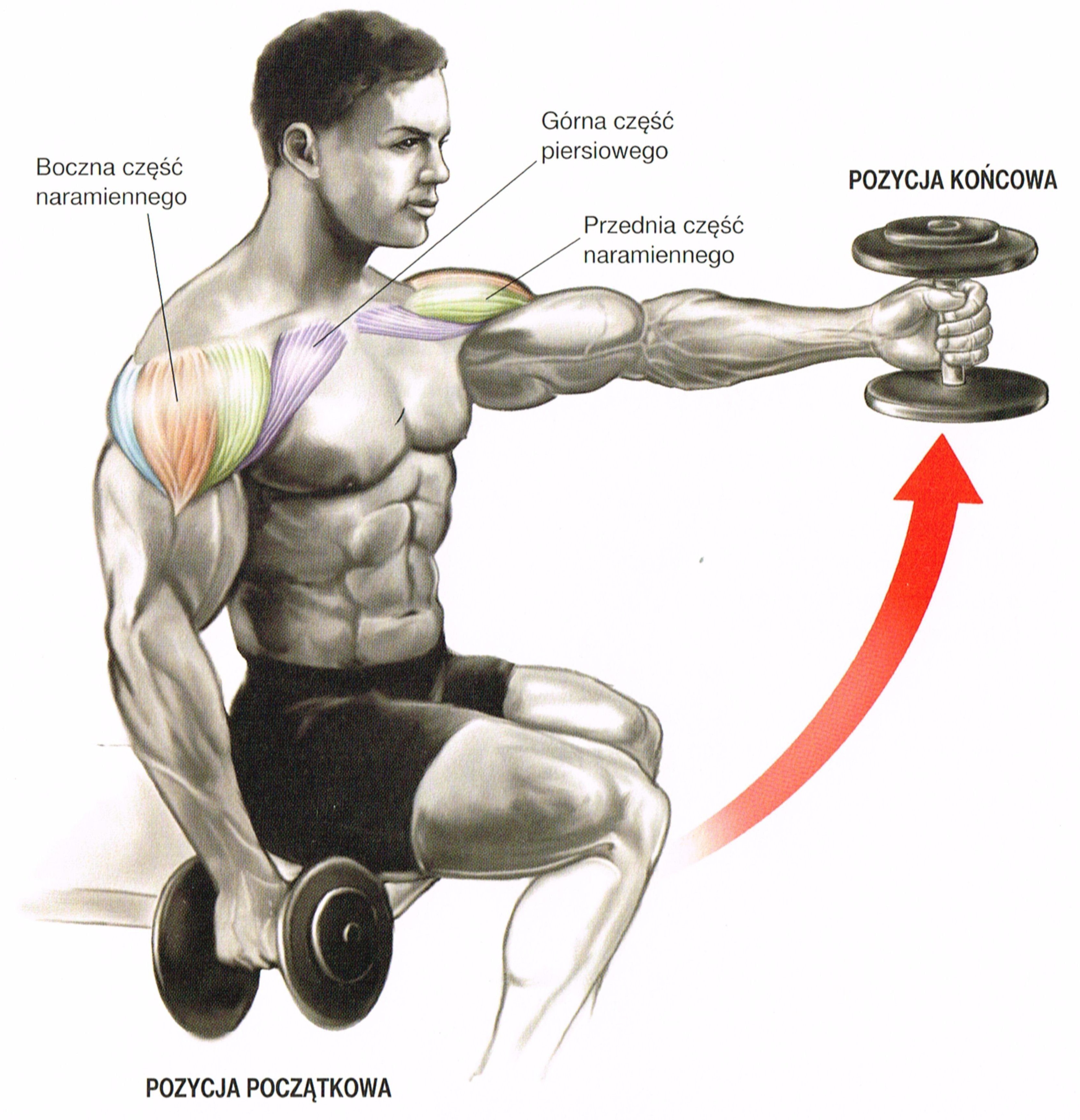 Гантели плечи дельты. Упражнения для прокачки дельтовидных мышц. Упражнения на дельтовидные мышцы. Прокачка дельт гантелями. Дельты мышцы упражнения.