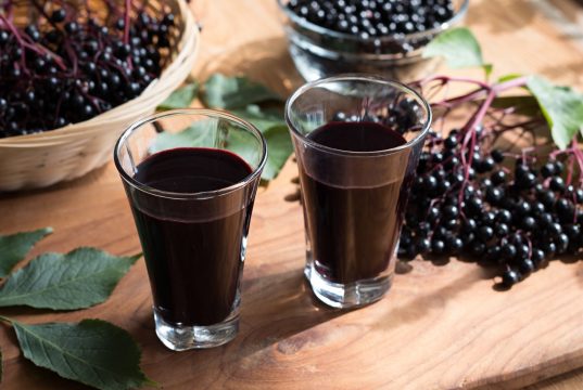 sok z czarnego bzu właściwości zastosowanie