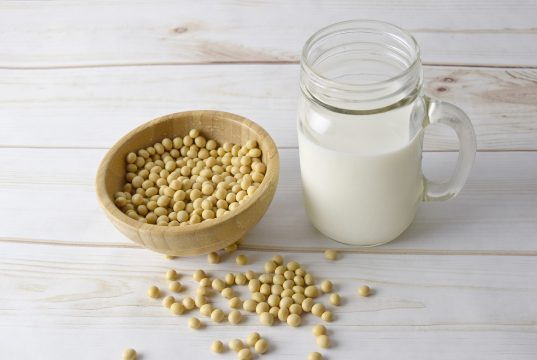 soja właściwości zastosowanie szkodliwość