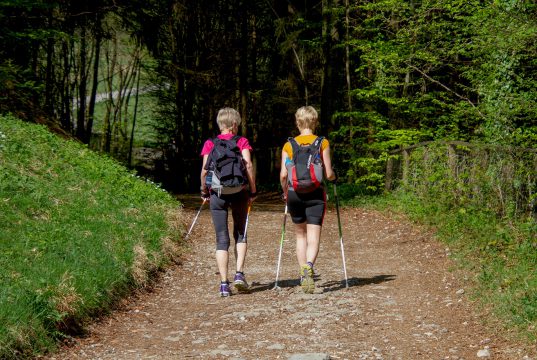 nordic walking technika jak dobrać kije
